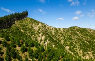 Bruce Road, Whatatutu, Whatatutu