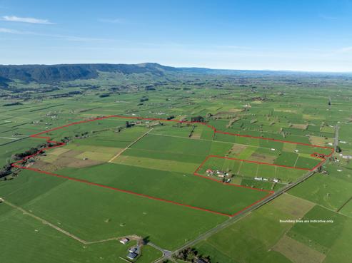 1099 Tower Road, Turangaomoana