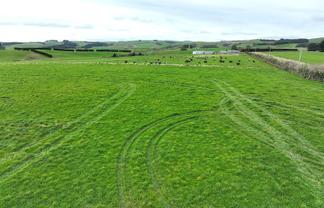 289 Woodslea Downs Road, Pine Bush