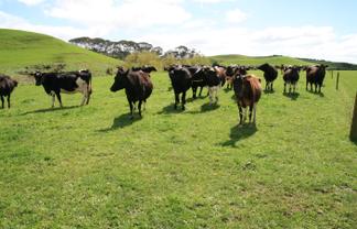 96 Lower Hunter Road, Hawera