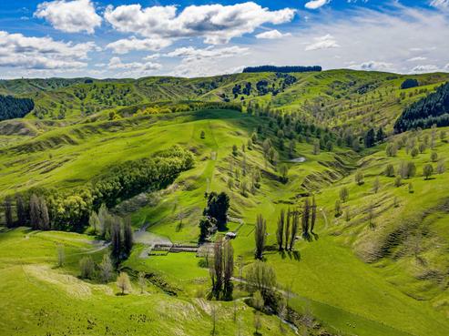 683 Bush Road, Central Hawkes Bay Country