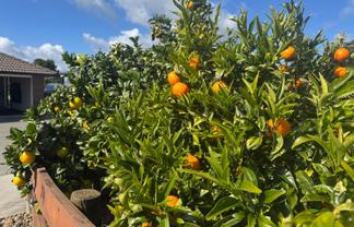 38D Kaipara Lake Road, Helensville