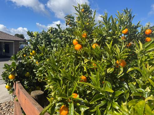 38D Kaipara Lake Road, South Head