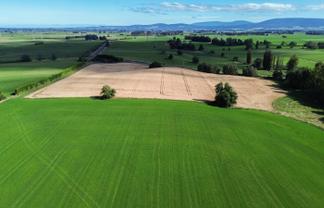 9 Wairio Church Road, Otautau