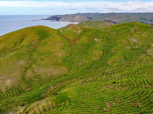 25 Punawaitai Road, Central Hawkes Bay Coastal