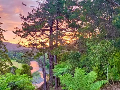 682 Kauaeranga Valley Road, Thames