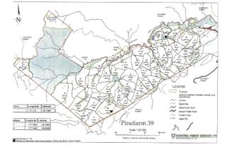Lot 5/ Shanks Road, Waingake