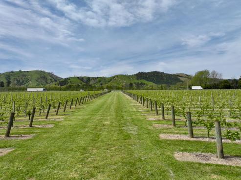 2057 Matawai Road, Te Karaka