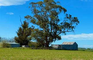 Willowbridge Road, WAIMATE