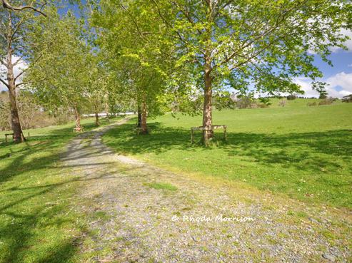 726 Paparoa Station Road, Maungaturoto