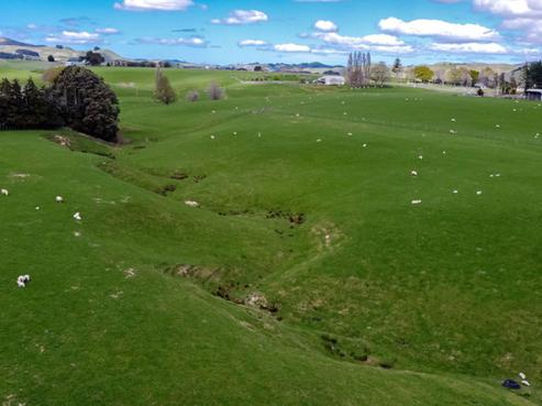 680 Cowper Road, Dannevirke