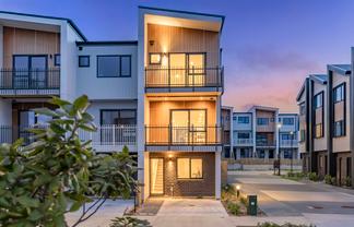 27 Tahepuia, Mount Wellington