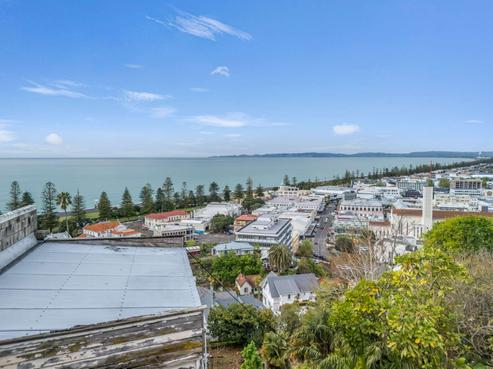 3 Onslow Road, Napier Hill
