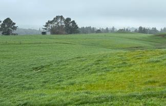 163 Ohanga Road, Onaero