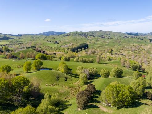 2122 Masterton Castlepoint Road, Blairlogie