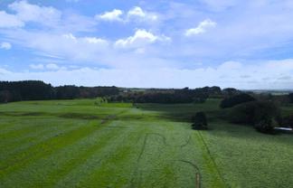 78 Brandon Hall Road, Bulls