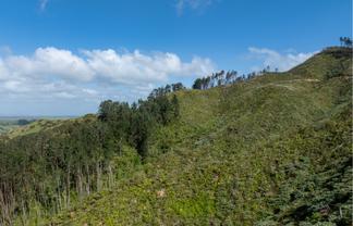 841c Hakarimata Road, Huntly