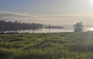 47 Matahehe Lane, Tinopai