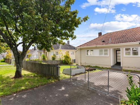 67 Herdman Street, Waterview