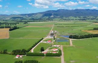 215a Wairio Road, Featherston