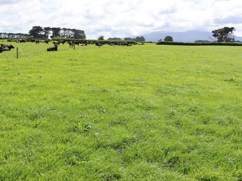 939 Auroa Road, Manaia