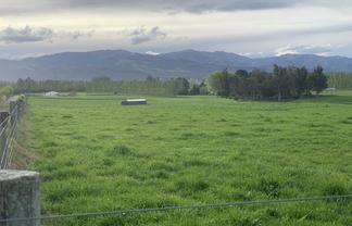  Whitneys Road, Waimate