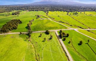 756 Surrey Road, Tariki