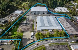 Step into the Spotlight