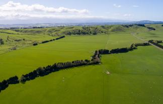  White Rock Road, Martinborough