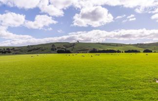  White Rock Road, Martinborough