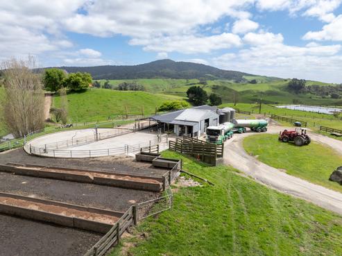 1259 Piakonui Road, Richmond Downs