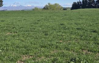 50 Simm Road, Cormacks