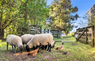 158 McLeod Road, South Head