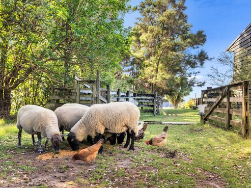 158 Mcleod Road, South Head