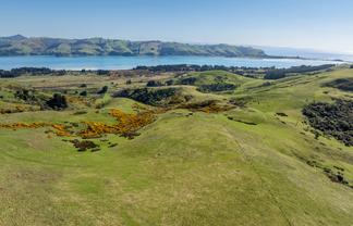 452 Harington Point Rd, Harwood