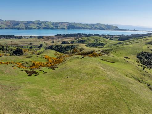 452 Harington Point Road, Portobello
