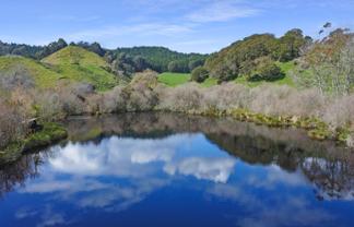 Otumahi Lane, Whakatane