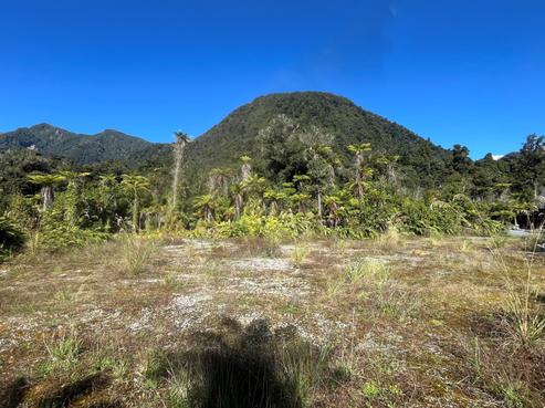 3 Batson Place, Franz Josef Glacier