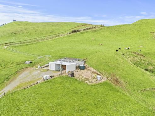 348 Ratapiko Road, Inglewood