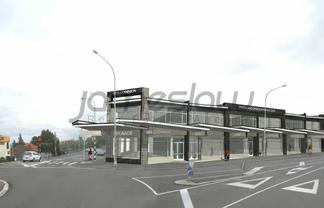 1215 Dominion Road, Mount Roskill