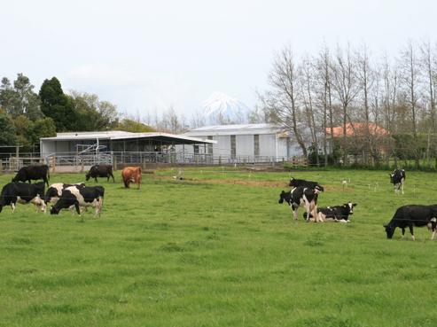 627 Inland North Road, Onaero