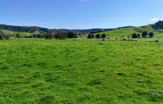  Matakana Valley Road, Matakana