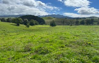 70 Kiwi Road, Pirongia