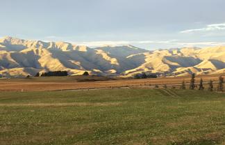 659 Ritchie Road, Dunback
