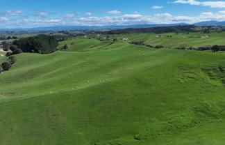 2829 Puketitiri Road, Patoka