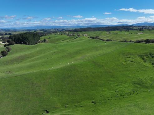2829 Puketitiri Road, Puketapu