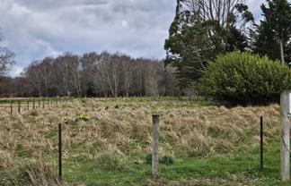 Lot 4 Cnr Tahakopa Valley and Dewe Road, Tahakopa Valley