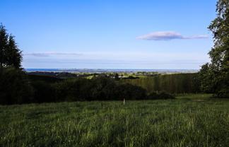 1042 Rangiuru Road, Te Puke