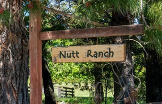 191 Tyntesfield Road, Waihopai Valley
