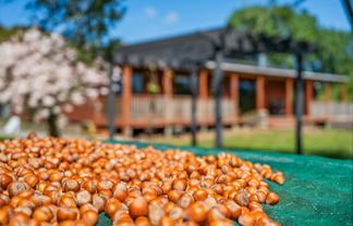 191 Tyntesfield Road, Waihopai Valley